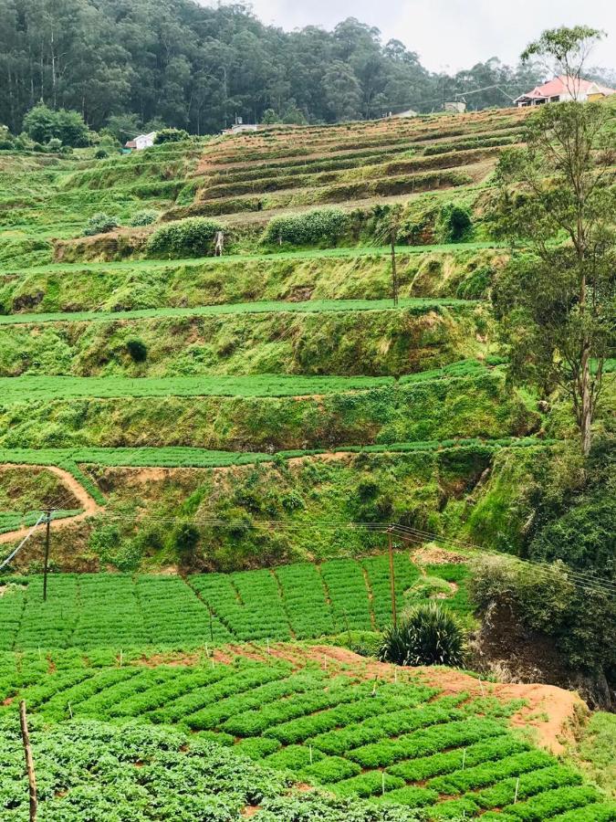 Mountain View Cottage Ooty Ngoại thất bức ảnh