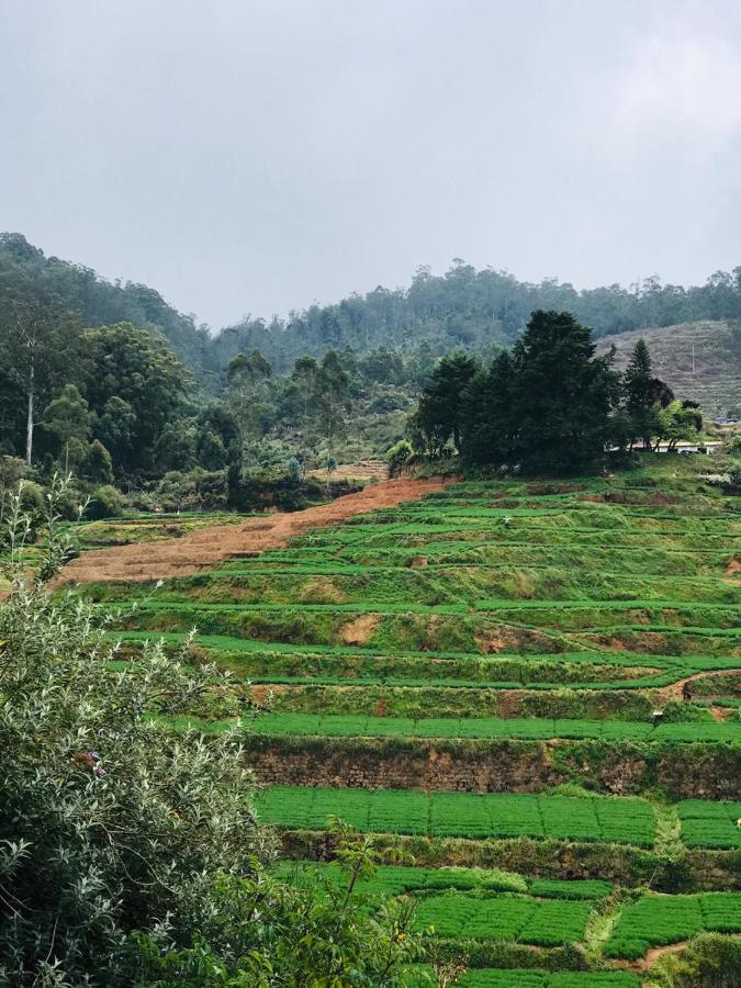Mountain View Cottage Ooty Ngoại thất bức ảnh